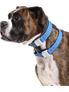 cesar millan backpack