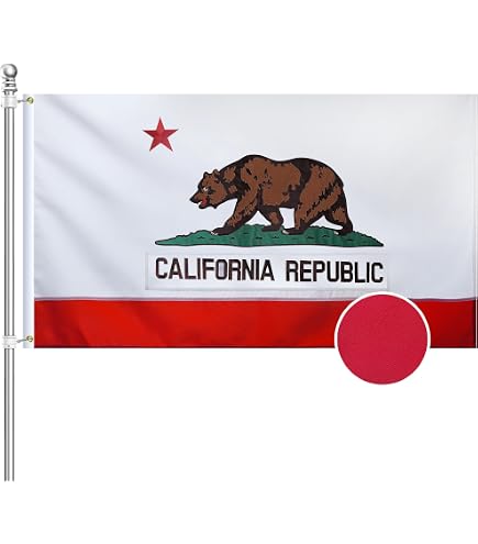 Amazon.com : 100% Cotton Canvas, Made in USA, Single Sided, Indoor
