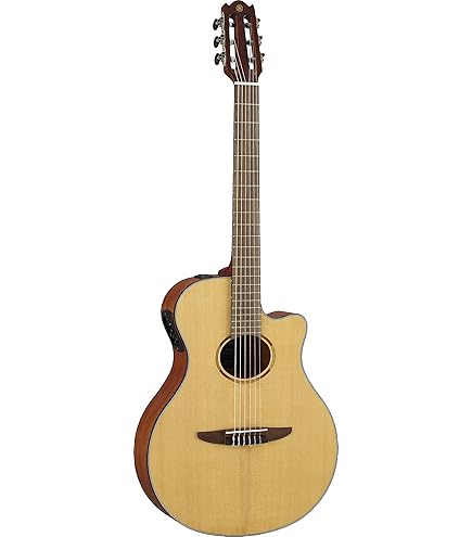 Amazon.com: Godin Multiac Nylon Encore Acoustic Electric Classical
