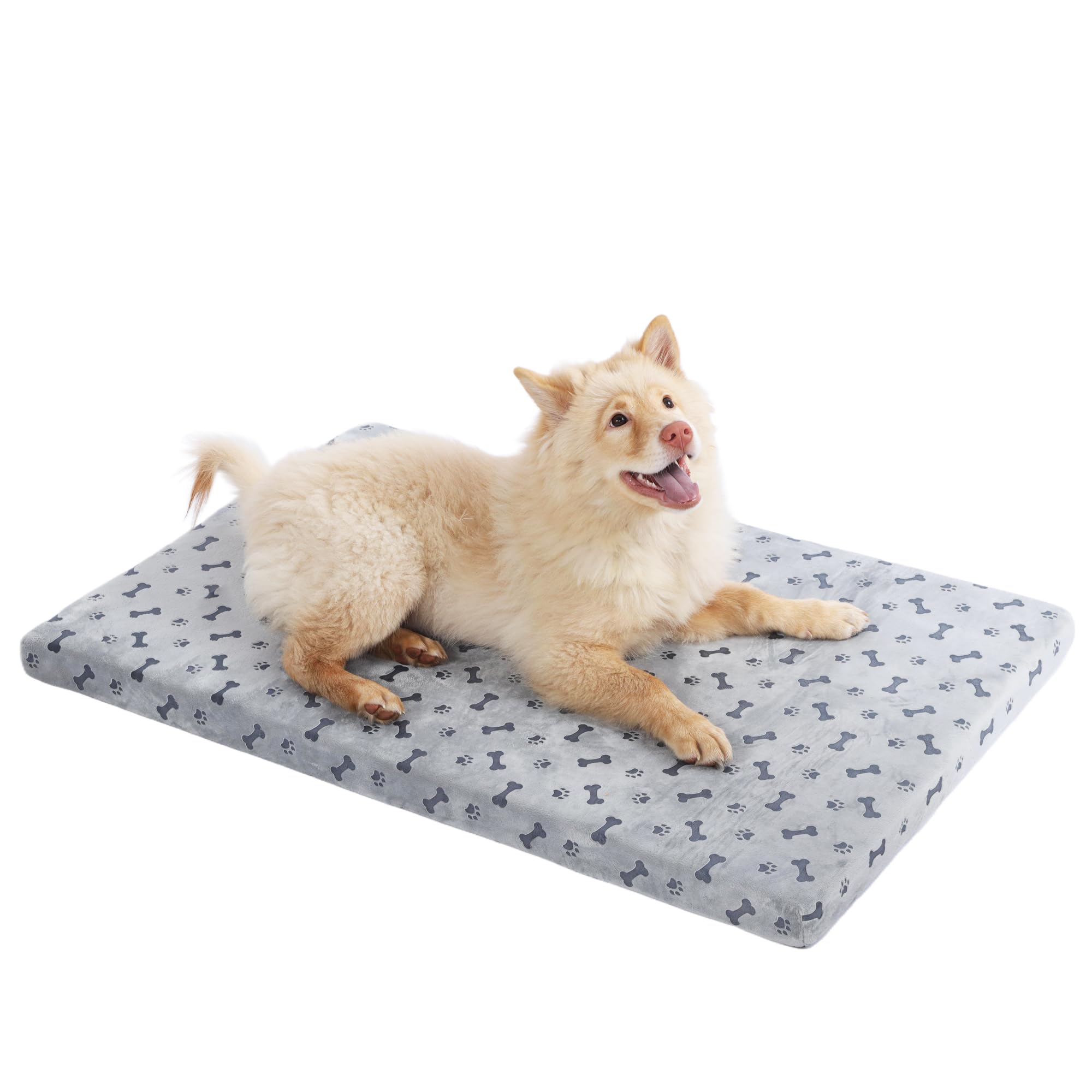 Fancy Dog Bed Mat Cute Dog Crate Pad, Reversible & Machine Washable, Small to XXX-Large Dogs,Bones, Cat Claws (Grey, Small(24x18in))