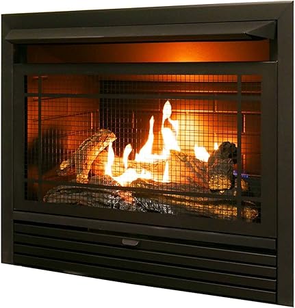 Duluth Forge Dual Fuel Ventless Insert