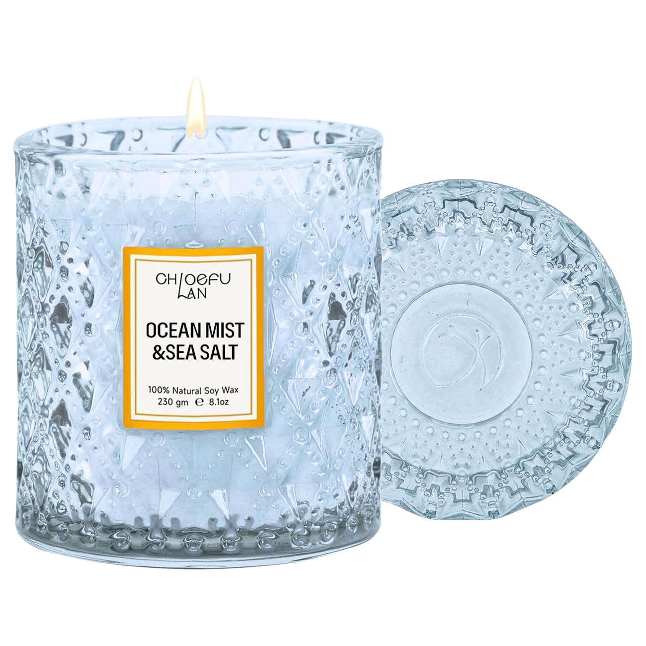 Chloefu LAN Ocean Candles Sea and Salt Candle with up to 55 Hour Long Lasting, Highly Scented, Luxury Air Freshening Jar Candles - Perfect Home Decor, Natural Soy Wax, Beach Candle, 8.1oz