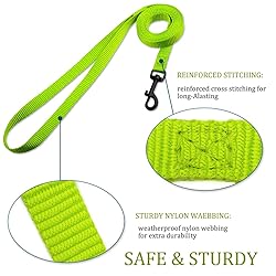 DOYOO 2 Pack Puppy Dog Leash Cat Leash, Strong and
