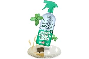 Sunny & Honey Pet Stain & Odor Miracle - 32 Fl Oz, Spring Mint Scent - Carpet Cleaner & Enzyme Spray for Carpets, Mattresses & Upholstery - Rug Shampoo & Dog Pee Cleaner & Odor Remover
