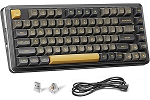 Redragon K738 Wireless Mechanical Keyboard, Gasket Mounted RGB Gaming Keyboard, 3-Mode (2.4G/BT/USB), Pre-lubed Linear Switches, 75％ Layout, 82 Keys Hot Swappable for PC/Mac - Black Gold