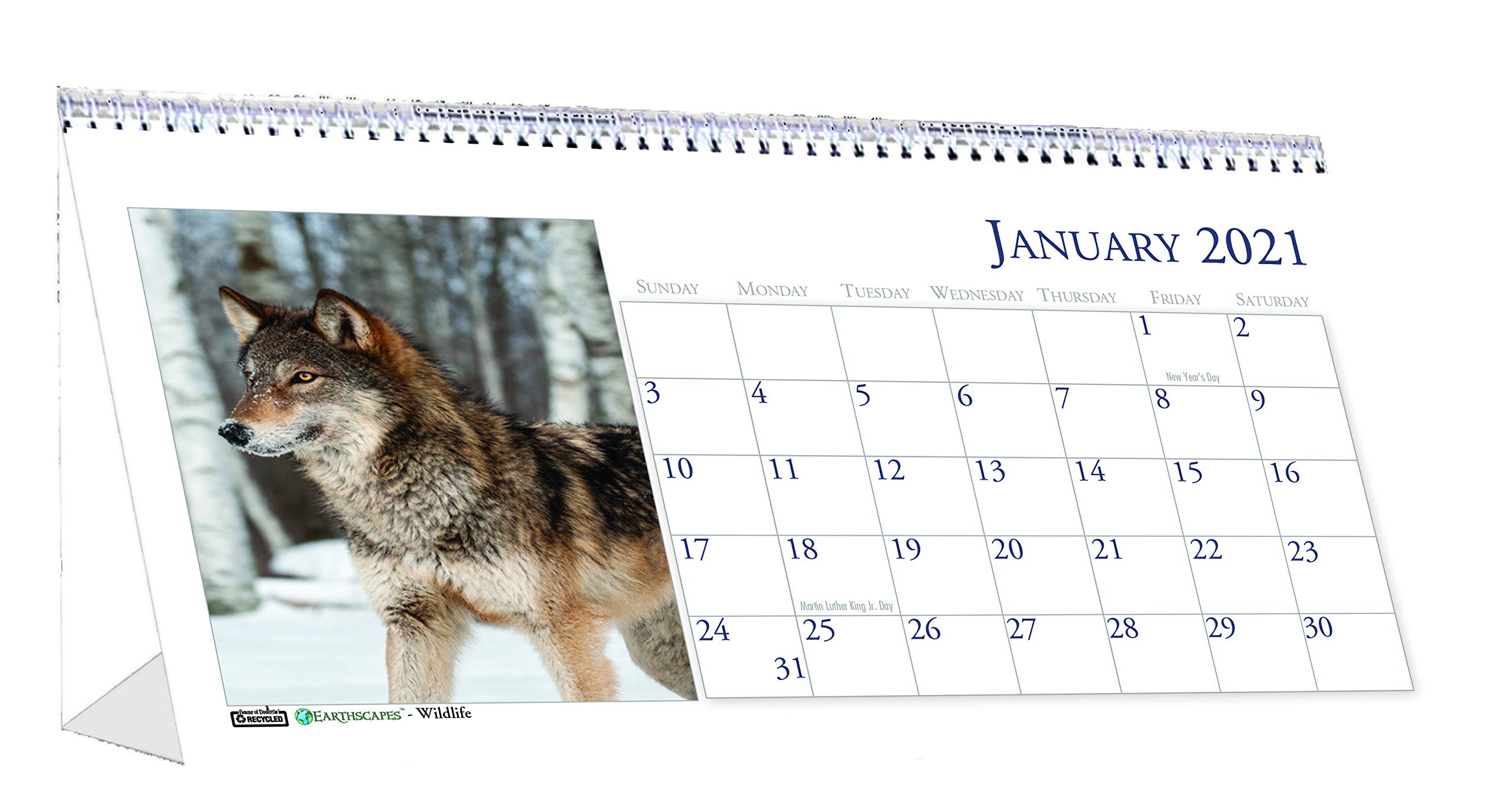 House of Doolittle 2021 Monthly Desktop Tent Calendar, Wildlife, 8.5 x 4.5 Inches, January - December (HOD3689-21)