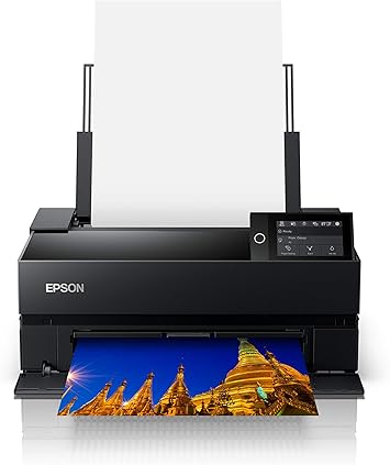 epson painter