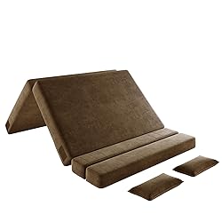 Luoxiao Folding Sofa Bed Queen with 2