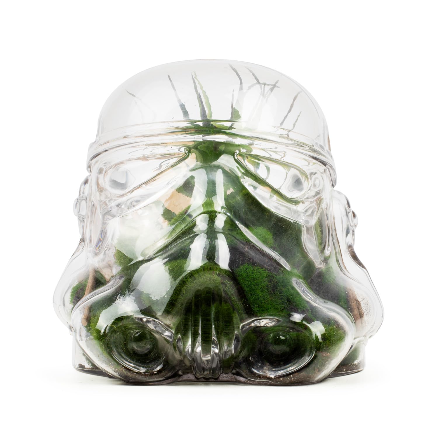 Original Stormtrooper 3D Helmet Glass Terrarium & Cookie Jar Tank with Lid, Kitchen Storage & Organisation, Star Wars Gifts for Men - Thumbs Up!