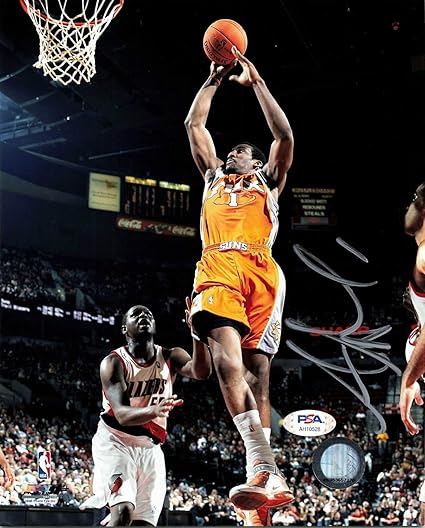 amare stoudemire suns