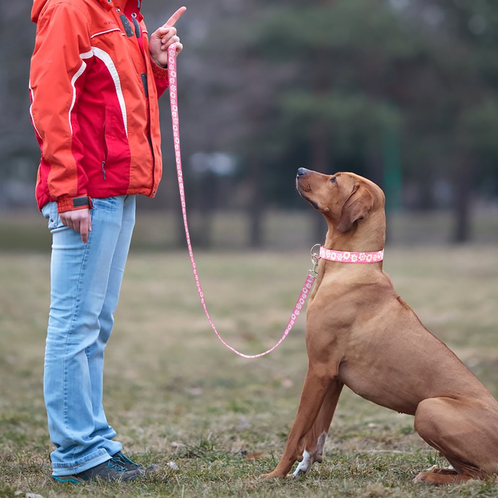 Higo Dog Leash - 6ft Long - 3mm Thick, Handle For Comfort - Heavy Duty Perfect Leashes for Dogs