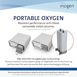 Inogen One G4 Replacement Column Pair - Oxygen