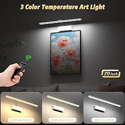 Picture Light with Remote, 20inch Wireless