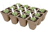 Jucoan Seed Starter Trays 40 Pack, 480 Cells Biodegradable Pots view 3