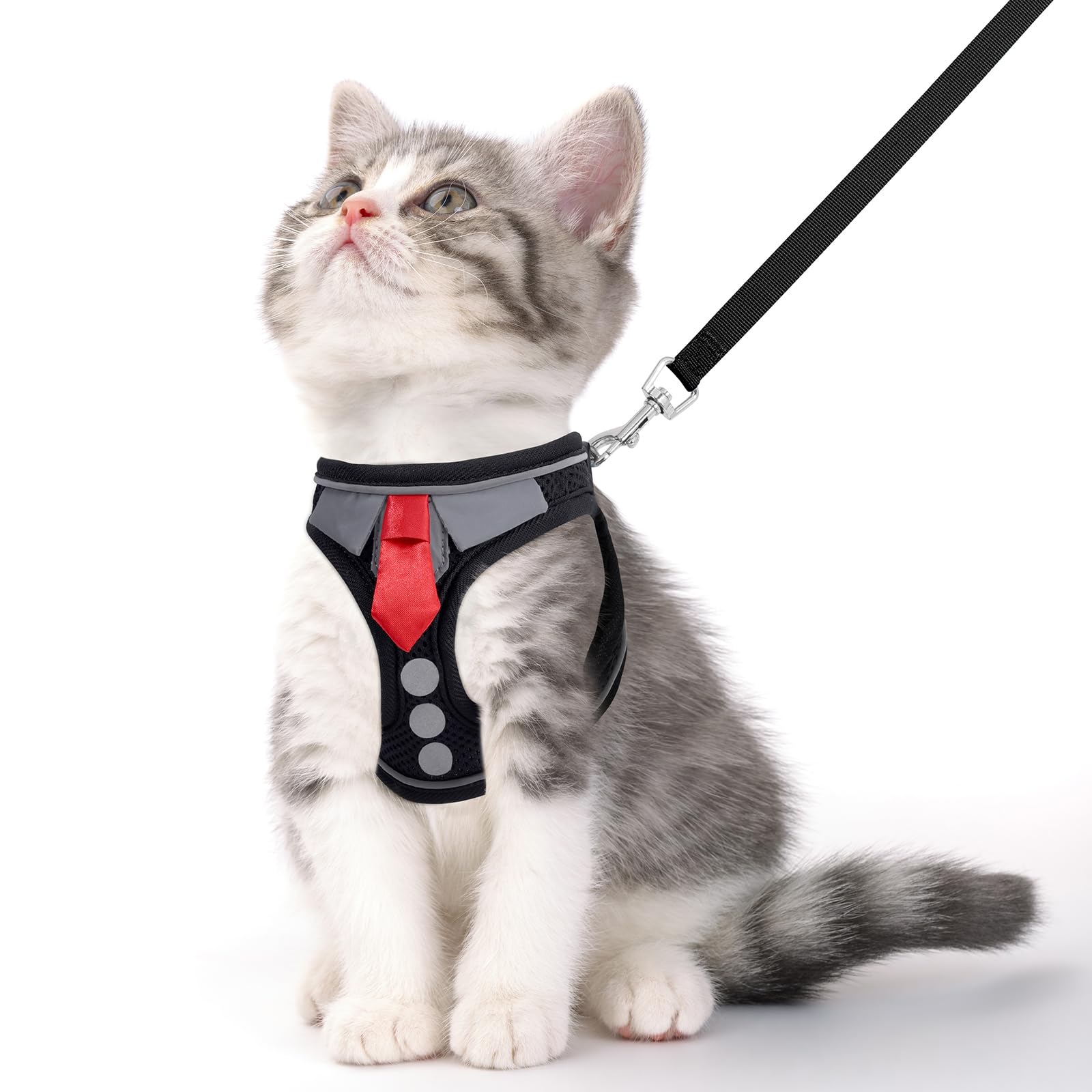 Photo 1 of NCMAMA Cat Harness and Leash Set for Walking Escape Proof, Soft Adjustable Kitten Harness Breathable Mesh with Reflective Strips Harness for Kitty Puppy Bunny(Black,XS)