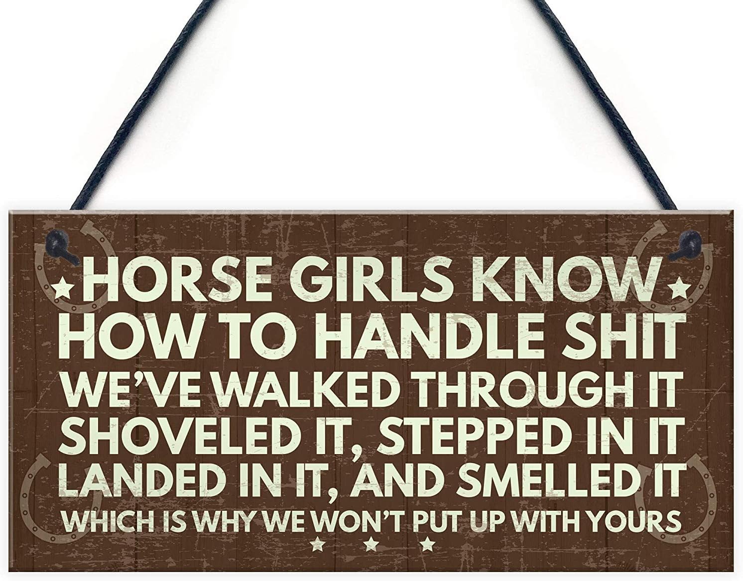 Meijiafei Horse Signs Funny Hanging Plaque Horse Signs for Bedroom Signs About Horses Keepsake Gift 10" X 5"