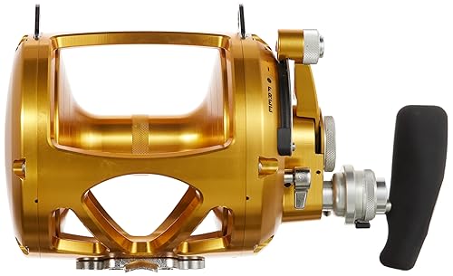 リール PENN INTERNATIONAL V 50VSW 2SPEED Amazon.co.jp: PENN INTERNATIONAL V 50VSW 2SPEED ペン