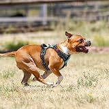PoyPet No Pull Dog Harness Reflective Front & Back Clips Mint Blue Medium view 8