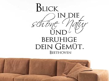 W668 65x58cm Hellrosa Blick In Die Schone Natur Und Beruhige Dein Gemut Beethoven Wandtattoo Spruche Zitate Wandaufkleber Amazon De Kuche Haushalt