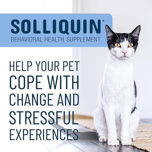 NUTRAMAX SOLLIQUIN CALMING BEHAVIORAL HEALTH SUPPLEMENT FOR SMALL TO MEDIUM DOGS AND CATS – WITH L-THEANINE, MAGNOLIA / PHELLODENDRON, AND WHEY PROTEIN CONCENTRATE, 75 SOFT CHEWS