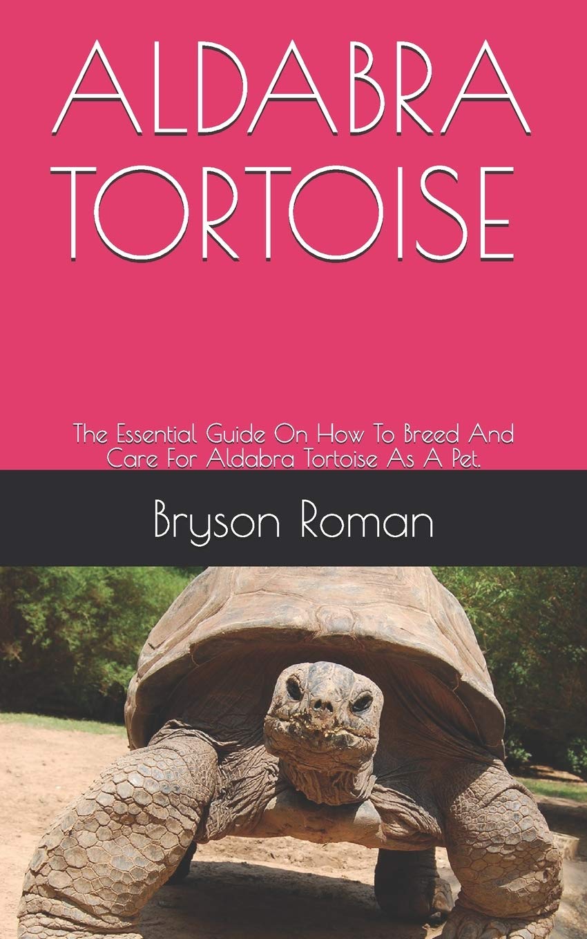 tortoise essentials