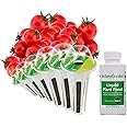 AeroGarden Red Heirloom Cherry Tomato Seed Pod Kit for AeroGarden Hydroponic Indoor Garden, 6-Pod