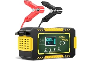 EXTRACTME 12V 6A Battery Charger & Smart Maintainer - Auto Battery Trickle Charger with Temperature Compensation for Cars, Trucks, Motorcycles, Lawn Mowers, Marine Lead-Acid Batteries