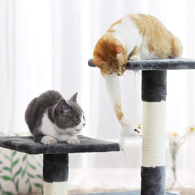 Parque para gatos con techo | Todo gatos