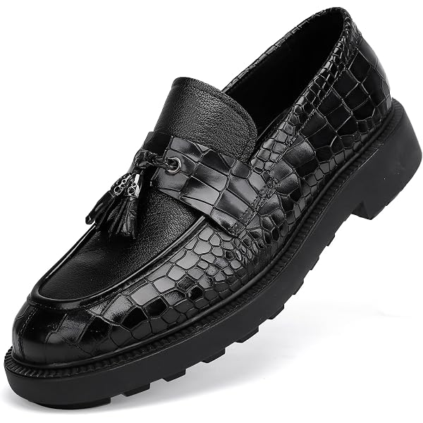 Amazon.com | GOLDEN COXES FAMILY Tassel Loafer for Mens  display picture 1