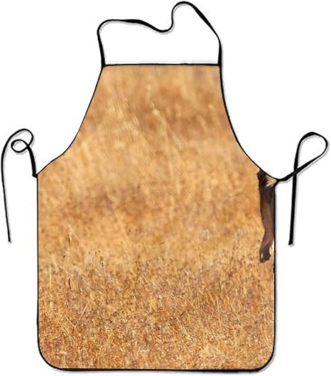 Amazon 野草の逃亡者のウサギシンプルエプロン カフェエプロン 作業用 ガーデンエプロン 首掛け 男女兼用 ブラック メンズ レディース べーシック キッチン 料理 店員 防水 保育士 エプロン オンライン通販