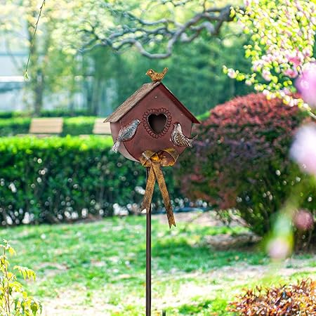 bird stand outdoor