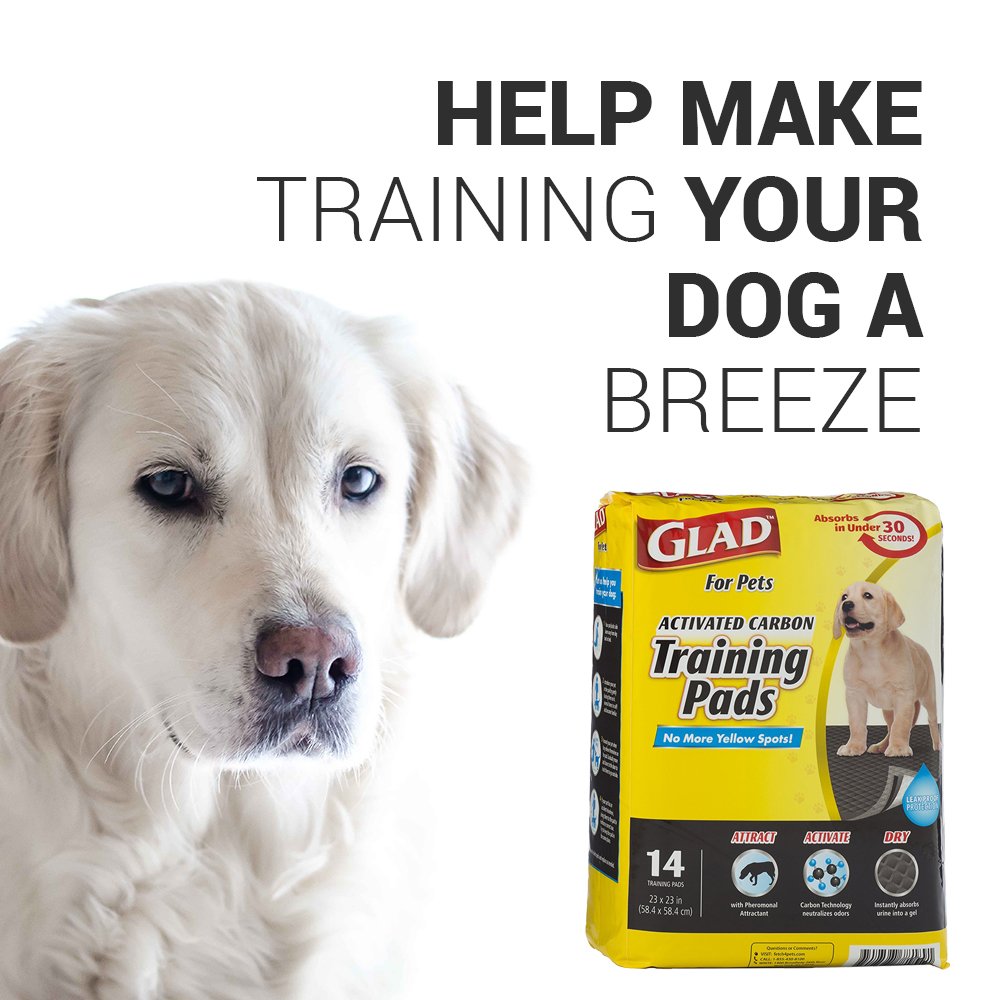 glad for pets training pads