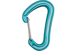 EDELRID Nineteen G Carabiner