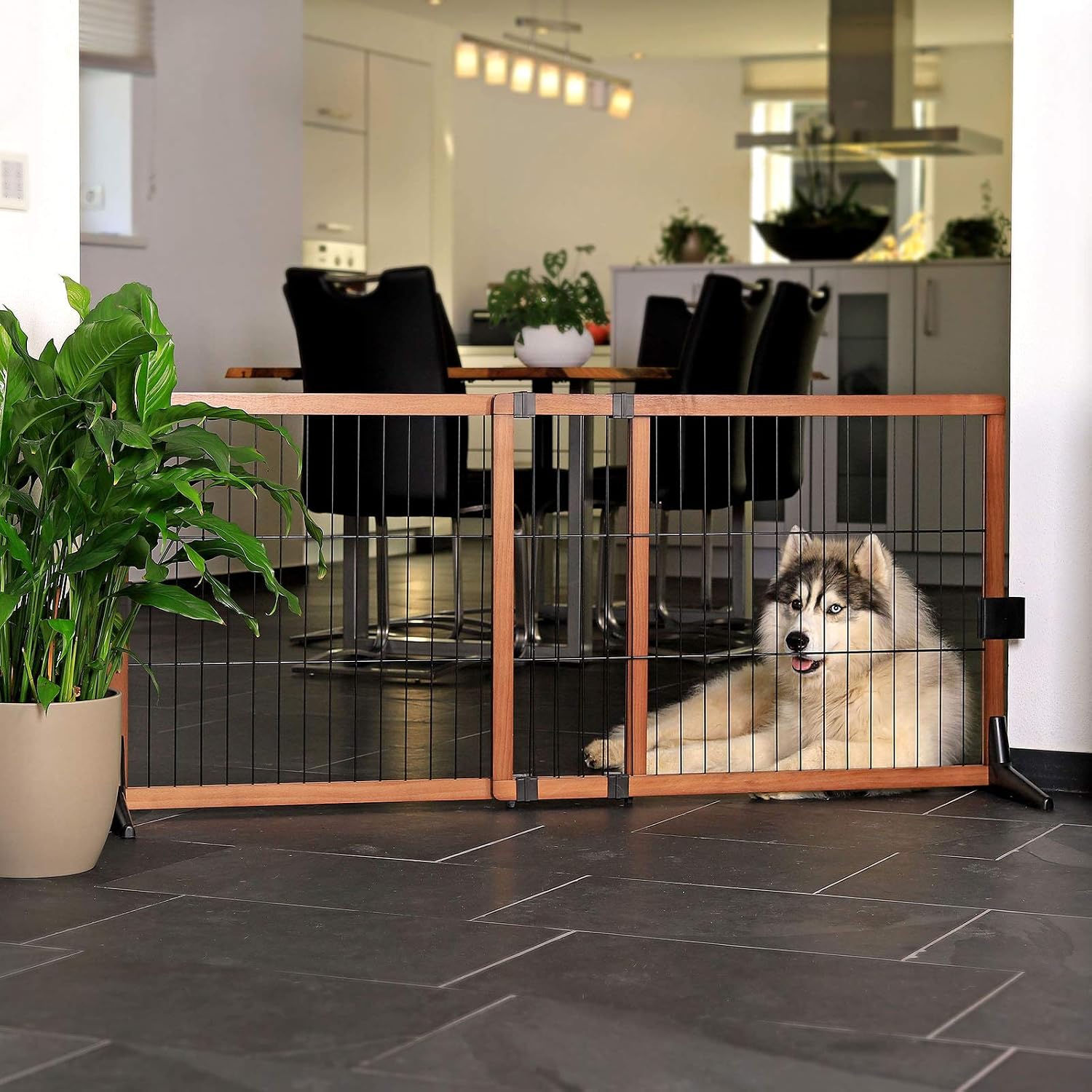 Picture of dibea lionto Barrier Dog Safety Gate, Stair Gate, Puppy Safety Gate, 70 ...