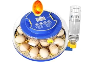 KDFDFSA Incubators for Hatching Eggs, 18 Egg Incubator with Automatic Egg Turning and Humidity Control, 360° View Incubadora De Huevos De Gallina, Candler, Incubator for Chicken Eggs, Ducks, Goose, Quail