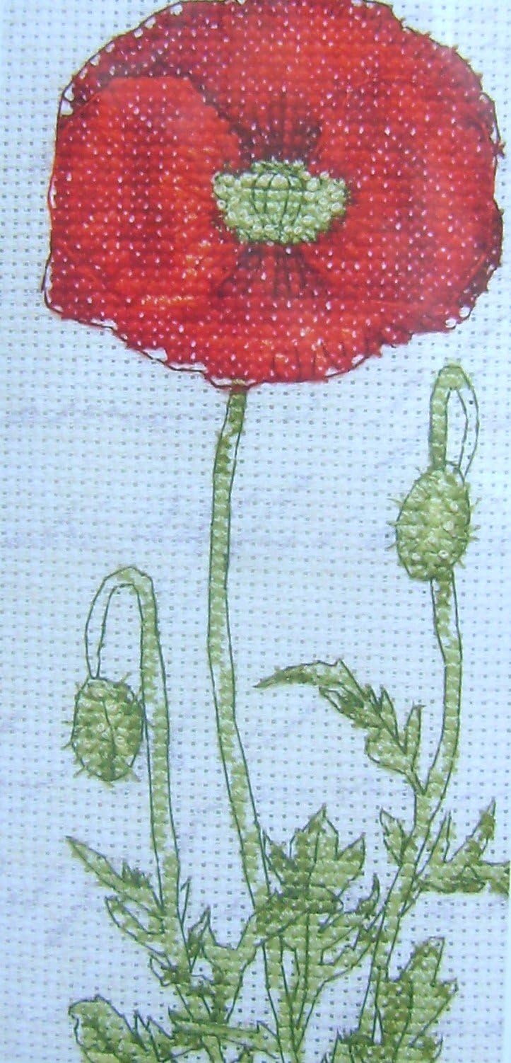 Counted Cross Stitch Kit 16 x 8cm Papaver rhoeas - contains aida fabric, with printed script background, embroidery thread, chart, needle & full instructions
