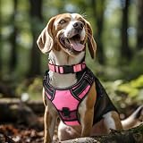 Joytale Reflective Dog Collar Large Neon Pink Nylon Neoprene Padding view 2
