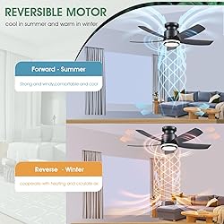 Modern Ceiling Fans with Lights and Remote/APP