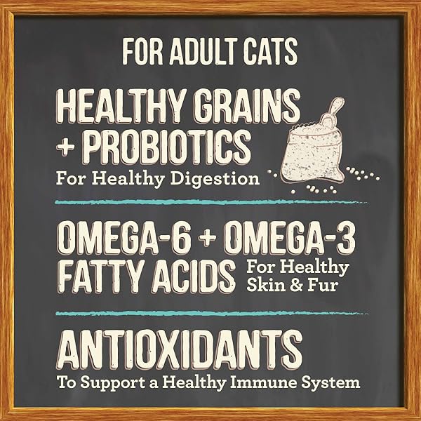 MERRICK PURRFECT BISTRO PREMIUM HEALTHY GRAINS DRY CAT FOOD FOR ADULT CATS, REAL SALMON AND BROWN RICE RECIPE – 4.0 LB. BAG