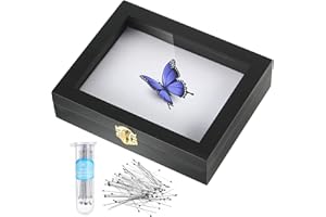 WILLBOND Insect Display Case Box Collection Box with Clear Top, EVA Foam Pinning Board and 100 Pieces Pins Insect Shadow Box Kit Entomology Supplies for Collecting Butterfly Specimen (Black)