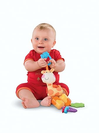 Amazon.com: Fisher-Price – Cochecito para Discover 'n Grow Chime, jirafa (suspendido por Fabricante): Baby