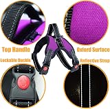 Musonic No Pull Dog Harness Breathable Adjustable XS Purple Leash Included view 3