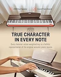 Donner DDP-80 Digital Piano Walnut Wood Color