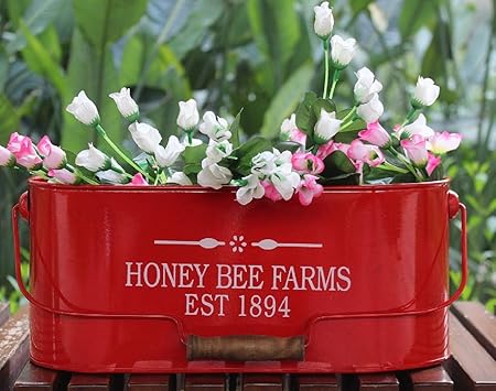 Homspurts Flower Pot Planter/Honey Bee Red Colour