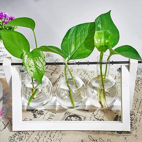 Amazon Knikglass 木製花瓶スタンド 水耕栽培キット水耕栽培花瓶 卓上花瓶 水耕栽培植物 電球形ガラス瓶 花 植物栽培容器 木製スタンド付き木製枠 花瓶 卓上花瓶 インテリア飾り ガラス花瓶 プレゼント 北欧風 三瓶 花器 インテリアボウル オンライン通販