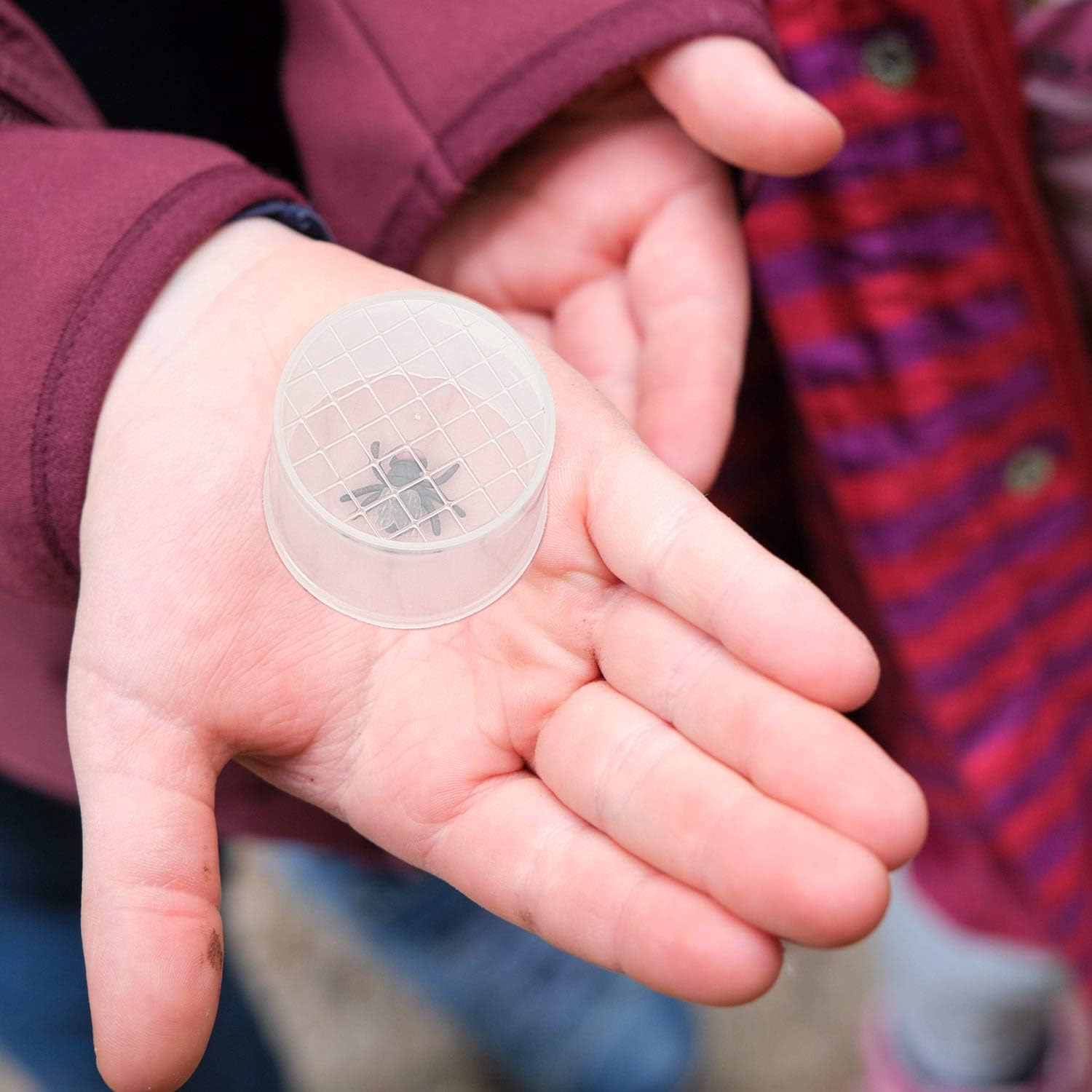 30 Pieces Bug Catcher Viewer Transparent Critter Container Small Cage Magnifying Box Container for Boys and Girls Science Nature Exploration Toys: Toys & Games