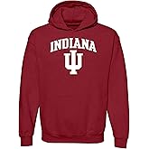 UGP Campus Apparel NCAA Officially licensed College - University Team Color Arch Logo Hoodie