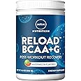MRM Nutrition Reload BCAA+G Post-Workout Recovery | Watermelon Flavored | 9.6g Amino Acids | with CarnoSyn® | Muscle Recovery | Keto Friendly | 26 Servings