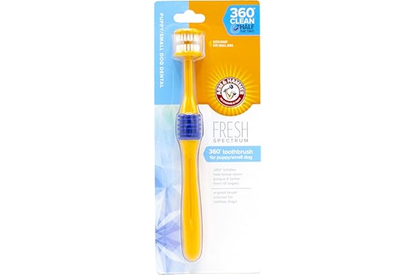 indigo dog toothbrush