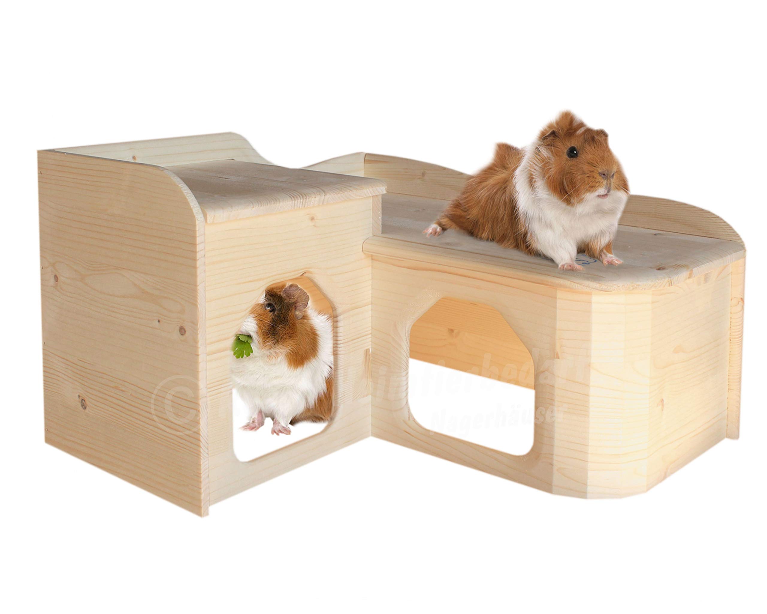 Resch No26 Guinea Pig "Country House" Natural solid wood made of spruce/with two large entrances and Rounded Corners